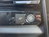RENAULT Austral Esp. Alp.+NAV+LHZ+SHZ+CAM+el.Heckklappe+