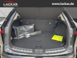 LEXUS NX 350h h 243 PS Executive *15-J ahre Garantie* 