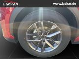 LEXUS LBX Basis*1.5*KOMFORT-PAK.*SHZ 15J-GARANTIE