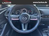 MAZDA CX-30 Selection 2WD 2.0 IV-X M Hybrid EU6d