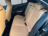 LEXUS UX 250h*EXECUTIVE*PANO*PREMIUM*1HD*PANO* HUD*