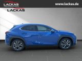 LEXUS UX 300h F-SPORT-D.*SOFORT *15JH-GARANTIE*