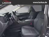 LEXUS NX 350h Executive interieur Paket + Technologie 