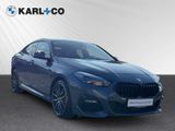 BMW 220 i Gran Coupe Edition ColorVision M Sport Pro