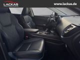 LEXUS NX 350 h Executive *HUD*SHZ*MEM NX (AZ20) 350 h