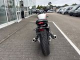 TRIUMPH Speed Twin 900 4 Jahre Garantie+MY25