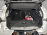 OPEL Grandland Electric GS +Schiebed.+AHK+ LP 59.860,-