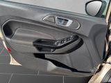 FORD Fiesta (CCN) Titanium *Kamera*SHZ*