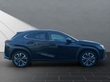 LEXUS UX 250h*1HD*SHZ*ALLW.* 15J-GAARANTIE