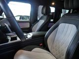 MERCEDES-BENZ G 500 Final Edition AMG Distr Standhz 2Fondbild