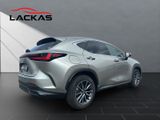 LEXUS NX 450h E-Four*Pano*Sitzbelüftung*HUD*