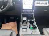 FORD Ranger Wildtrak 205 PS -El.Rollo-Standhzg.-