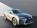 LEXUS UX 250 h STYLE Edition 15J-GARANTIE