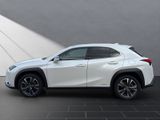 LEXUS UX 250 h Style Edition*Navi*11J.Garantie*