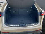 LEXUS NX 350h Overtrail E-FOUR PANORAMA+Trittbretter
