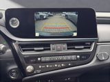 LEXUS ES 300 h Business *TAXI-PAKET*S-Dach*