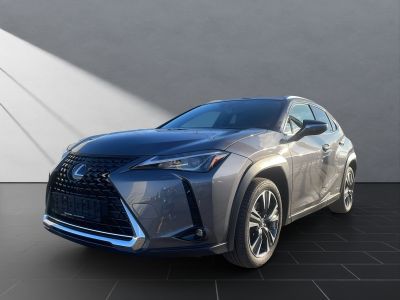 LEXUS UX 250 h STYLE Edition 15J-GARANTIE