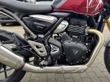 TRIUMPH Speed 400 Roadster-Fahrwerk+ABS