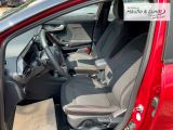 FORD Puma ST-Line Allwetterreifen LED ACC Rückfahrkam.