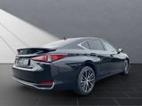LEXUS ES 300 h+BUSINESS SCHIEBEDACH+SHZ+