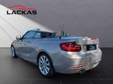 BMW 220 CABRIO 220 d*NAVI*KAMERA*LEDER