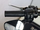 Harley Davidson Fat Bob seitlicher Kennzeichenträger