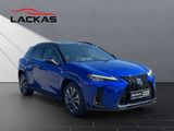 LEXUS UX 300h F Sport HuD+LEDER+MEMORY+SITZKLIMA