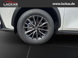 LEXUS NX 350 h 243 PS Executive *15-J ahre Garantie* I
