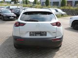 MAZDA MX-30 Basis 2021 L e-SKYACTIV ADM-P SHZ NAVI