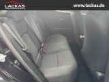 TOYOTA C-HR Flow 1.2 Turbo EU6d-T Meh rzonenklima DAB
