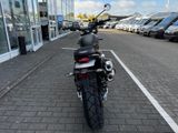 TRIUMPH Scrambler 900 MY26 Sofort Verfügbar!