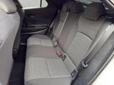 TOYOTA C-HR Hybrid FWD Teamplayer*TECHNIK*TOTW*CARPLAY*