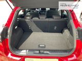 FORD Puma ST-Line Allwetterreifen LED ACC Rückfahrkam.