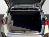 BMW X1 30e xDrive M-Sport Adp.LED ACC HUD 360°Kam