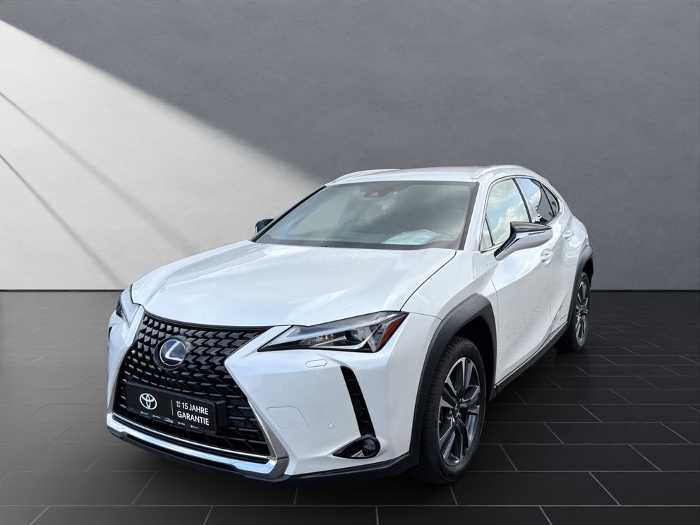 LEXUS UX 250 h Style Edition*Navi*11J.Garantie*