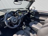 MINI John Cooper Works Cabrio LED ACC HUD HiFi DrivingAss.