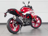 BMW G 310 R +Style-Passion+
