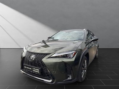 LEXUS UX 250h*F-SPORT-D*1.HD*ALLW.REIF*NAVI*SHZ*