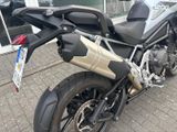 TRIUMPH Tiger 1200 GT PRO MY25