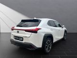 LEXUS UX 250h*F-Sport D.*1HD*SHZ*NAVI*CARPLAY*