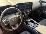 LEXUS NX 350h Business*360°*TOTW*PDC*SITZLÜFTUNG*