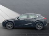 LEXUS UX 250H LEDER+NAVI+HUD DISPLAY+15J.GARANTIE*