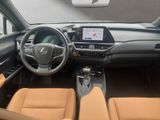LEXUS UX 250h*FSPORT-D*1HD*ALLW.R*LEDER* 15J-GARANTIE*
