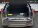LEXUS NX 350h 243 PS Luxury 4x4, Panoramaglasdach
