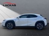 LEXUS UX 250 h*EXECUTIVE*HUD*LEDER*SCHIEBEDACH