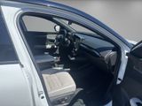 RENAULT Megane Electric Iconic ICONIC EV60 22hp opt.ch