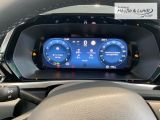 FORD Tourneo Connect Titanium Allwetterreifen AHK Leder Digitales Cockpit ACC Apple CarPlay