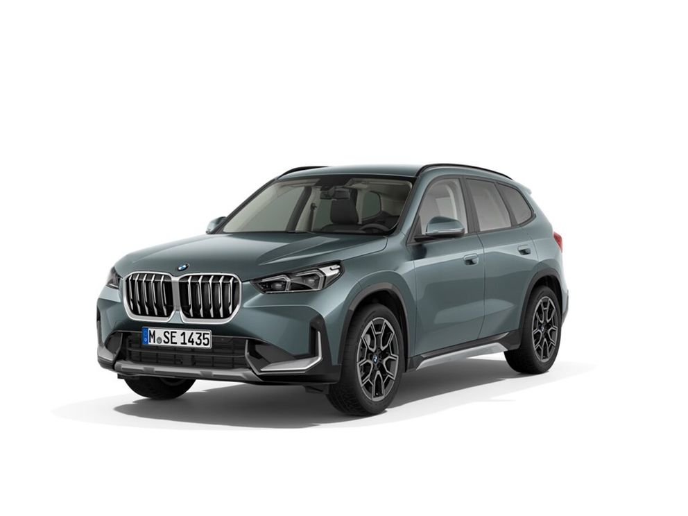 BMW X1 20 i sDrive xLine sDrive20i Park-Assistent 19 Zoll HUD AHK
