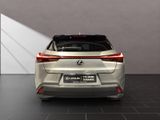 LEXUS UX 250H*STYLE*1HD* 15J-GARANTIE