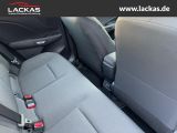 LEXUS LBX *Basis*1.5*KOMFORT-PAK.* S 15J-GARANTIE